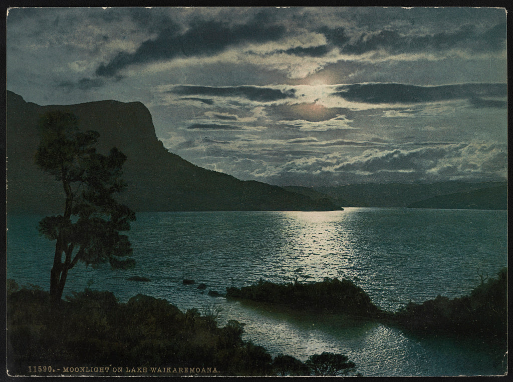 A picture of Moonlight on Lake Waikaremoana