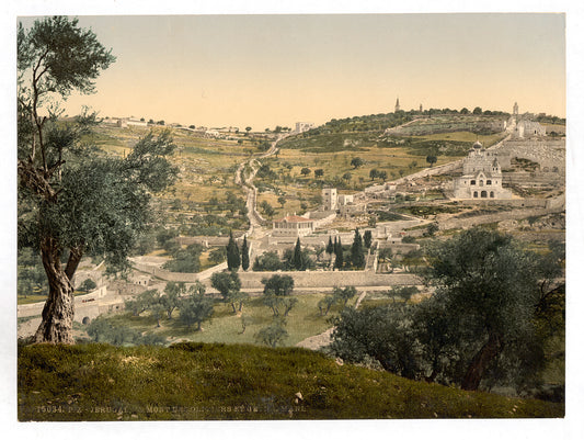 A picture of Mount of Olives and Gethsemane, general view, Jerusalem