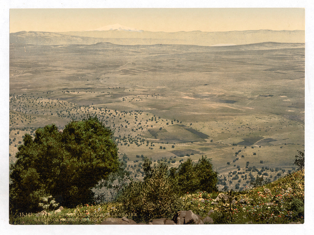 A picture of Mt. Hermon and Plain of Tabor, Holy Land, (i.e., Lebanon and Syria)