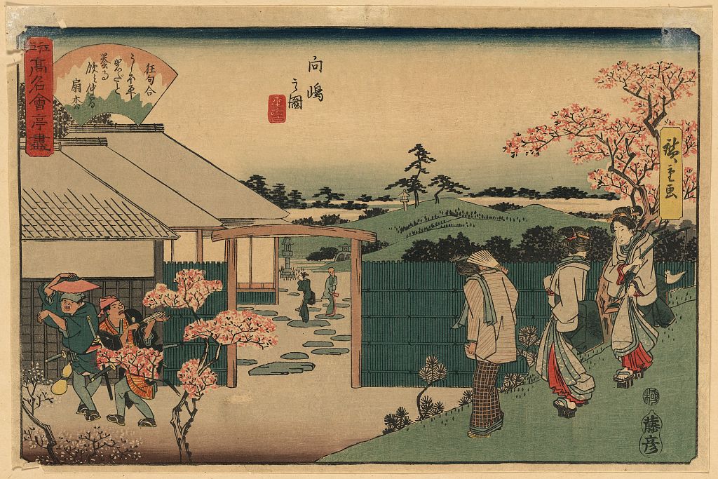 A picture of Mukōjima hiraiwa