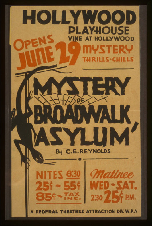 A picture of "Mystery of broadwalk asylum" by C.E. Reynolds