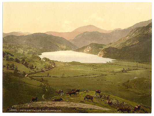 A picture of Nant Gwgant (i.e. Gwynant), Gwynant Valley, Wales