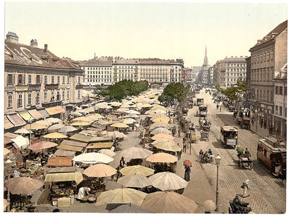 A picture of Nasch Market, Vienna, Austro-Hungary