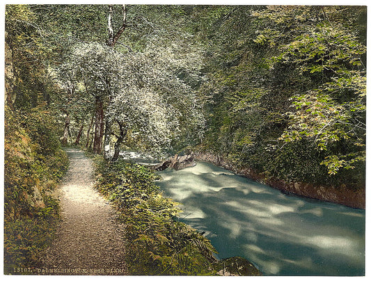 A picture of Ness Glen, Dalmellington, Scotland