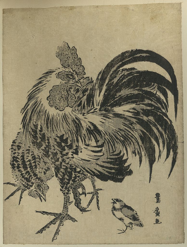 A picture of Niwatori