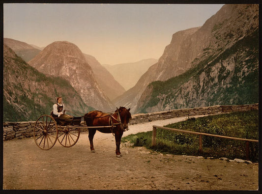 A picture of Norwegian carriage Norway