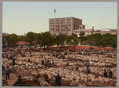 A picture of Norwich. Castle & Cattle Market