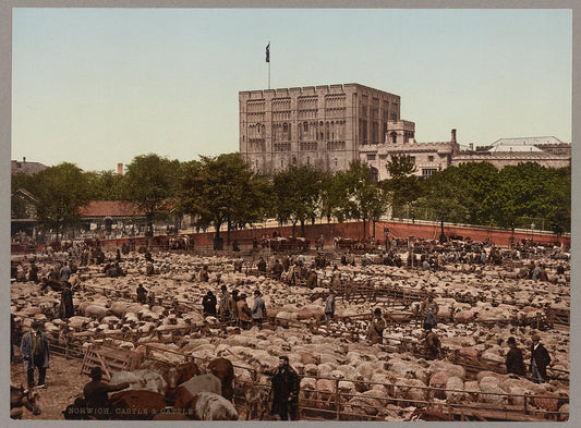 A picture of Norwich. Castle & Cattle Market
