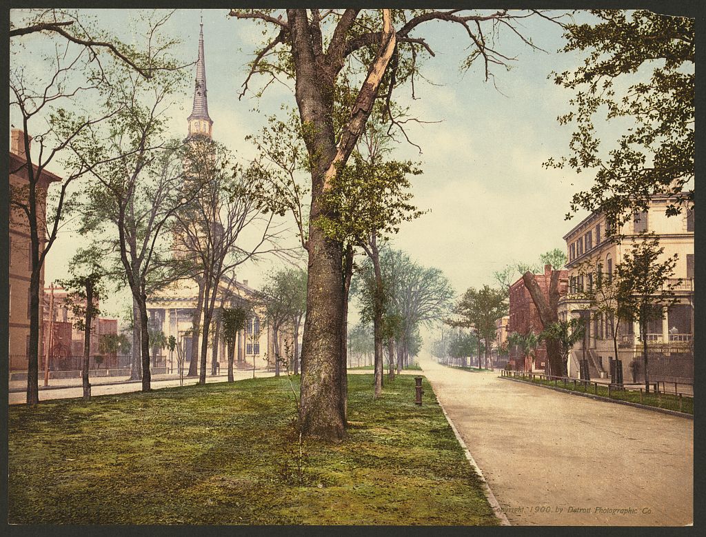 A picture of Oglethorpe Avenue, Savannah