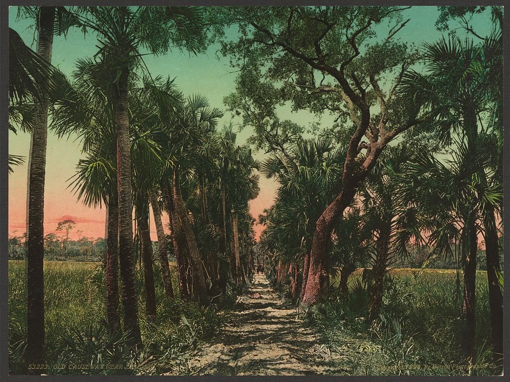 A picture of Old causeway near Ormond