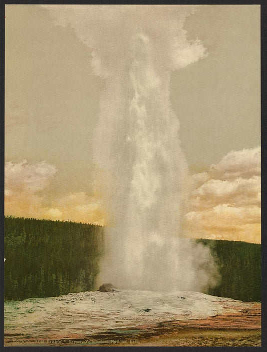 A picture of "Old Faithful" Geyser, Yellowstone National Park