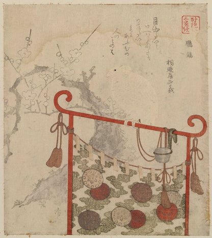 A picture of Ōmu