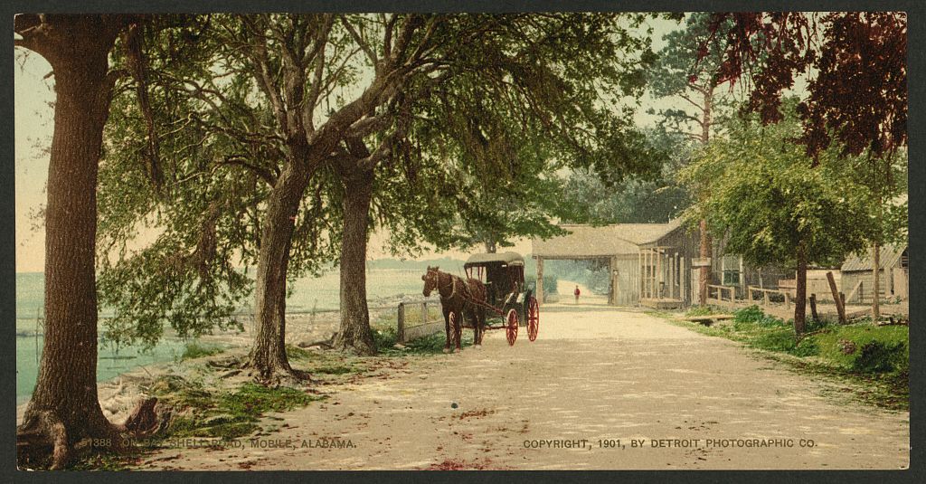 A picture of On Bay Shell road, Mobile, Alabama