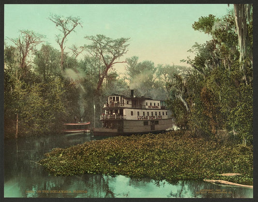 A picture of On the Ocklawaha, Florida