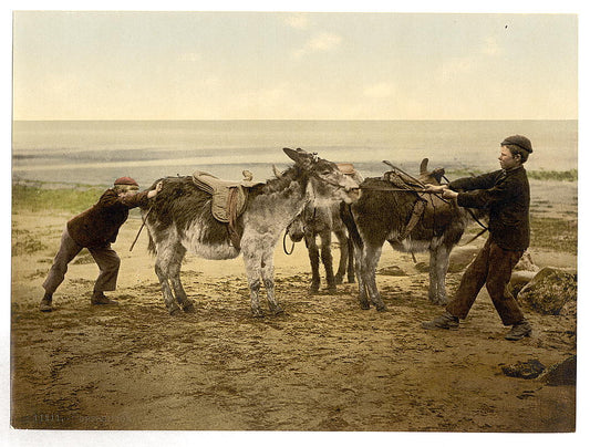 A picture of Opposition, England