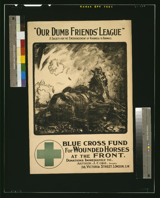 A picture of "Our Dumb Friends' League." A society for the encouragement of kindness to animals. Blue Cross fund for wounded horses at the front