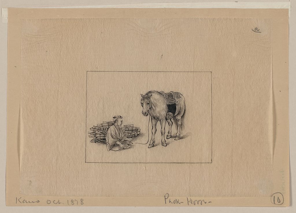 A picture of Pack horse
