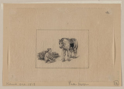 A picture of Pack horse