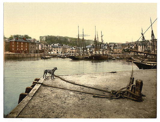 A picture of Padstow Quay, Cornwall, England