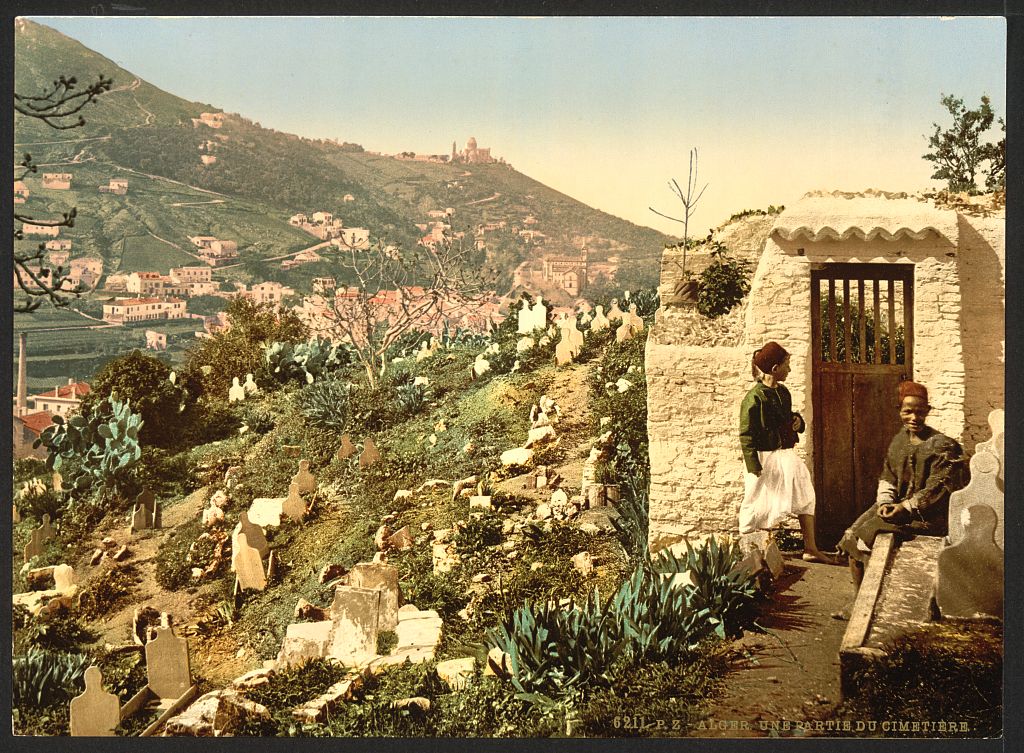 A picture of Part of the cemetery, Algiers, Algeria