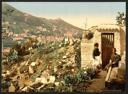 A picture of Part of the cemetery, Algiers, Algeria