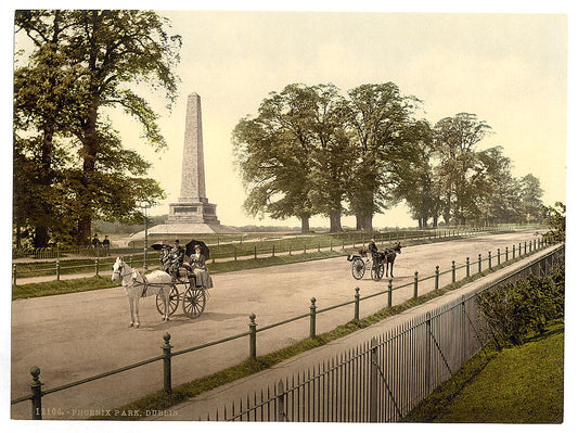 A picture of Phoenix Park, Dublin. County Dublin, Ireland