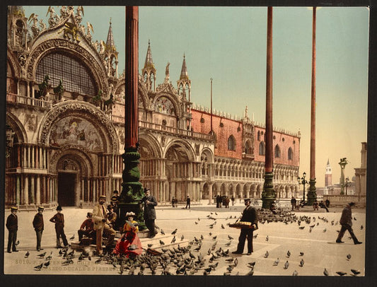 A picture of Pigeons in St. Mark's Place, Venice, Italy