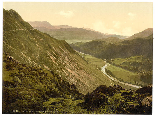 A picture of Precipice Walk, Dolgelly (i.e. Dolgellau), Wales