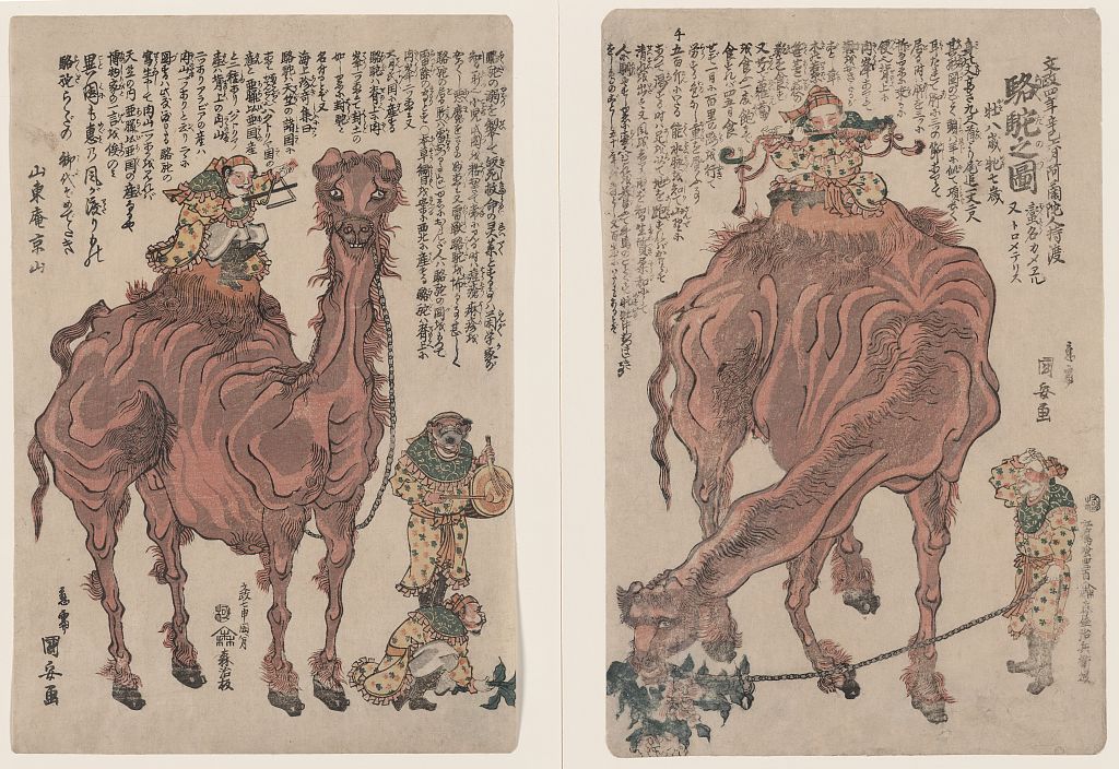 A picture of Rakuda no zu