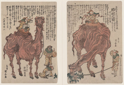 A picture of Rakuda no zu