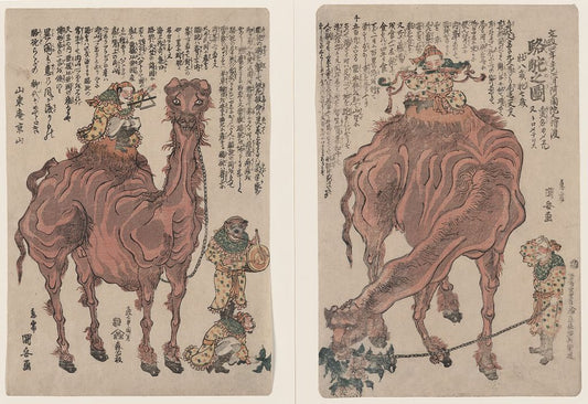 A picture of Rakuda no zu