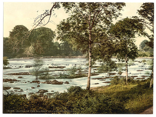 A picture of Rapids on the Shannon. County Limerick, Ireland