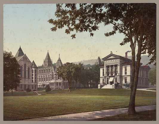 A picture of Redpath Library and Museum, McGill University. Montreal