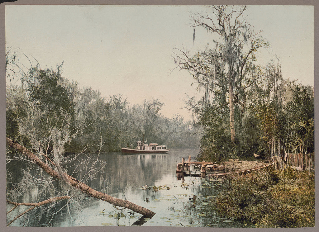 A picture of Rice Creek, Florida