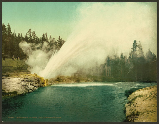 A picture of Riverside Geyser, Yellowstone Park
