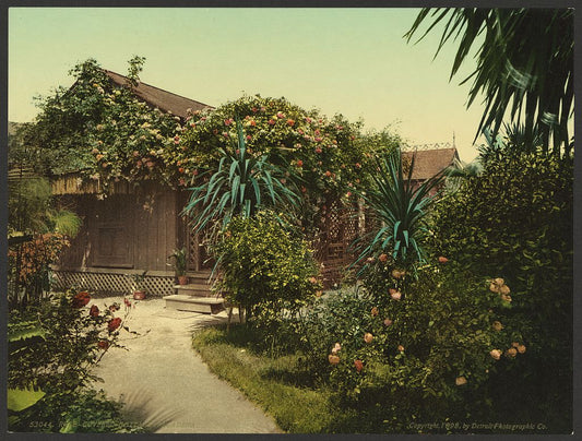 A picture of Rose-covered cottage, Pasadena