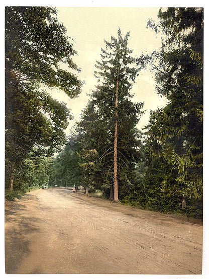 A picture of Royal Military College, a favorite drive, Sandhurst, Camberley, England