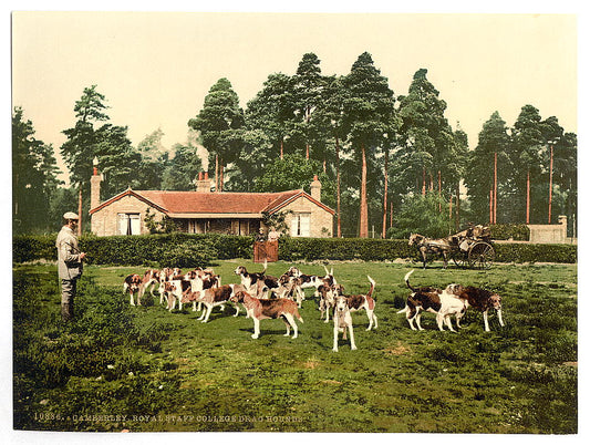 A picture of Royal Staff College, drag hounds, Camberley, England