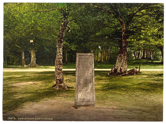 A picture of Rufus Stone, New Forest, Winchester, England