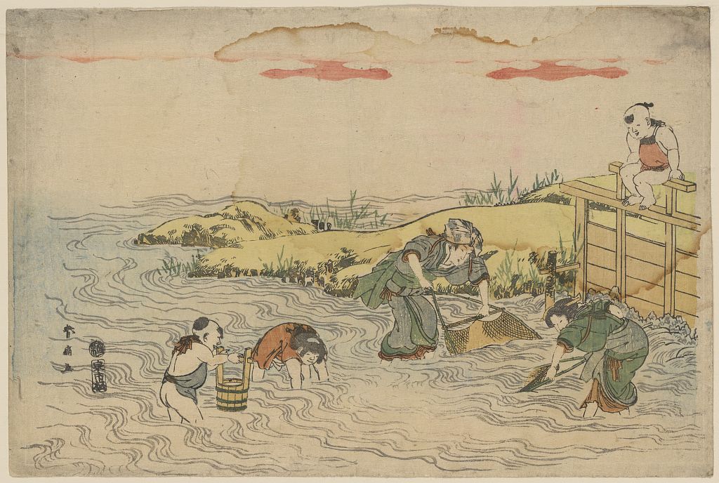 A picture of Sakana sukui