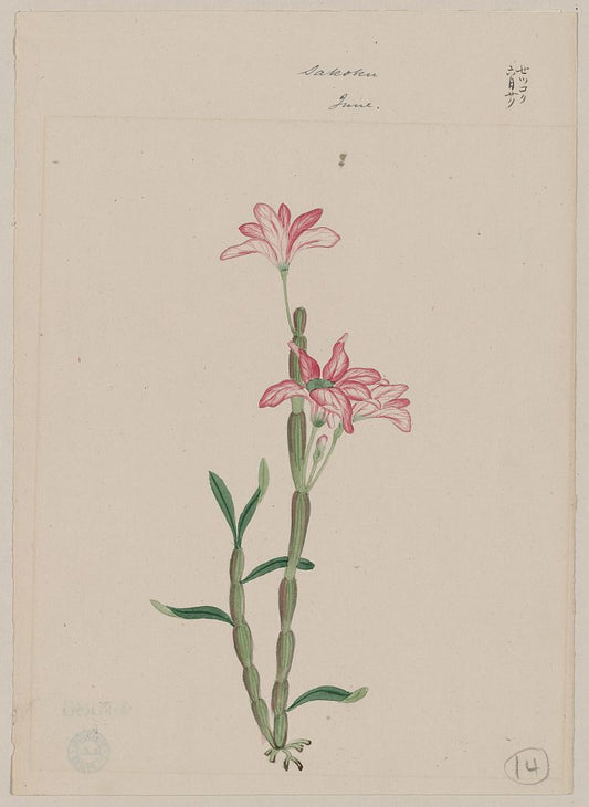 A picture of Sakoku - June