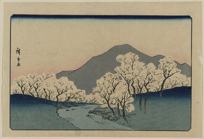 A picture of Sakura namiki zu