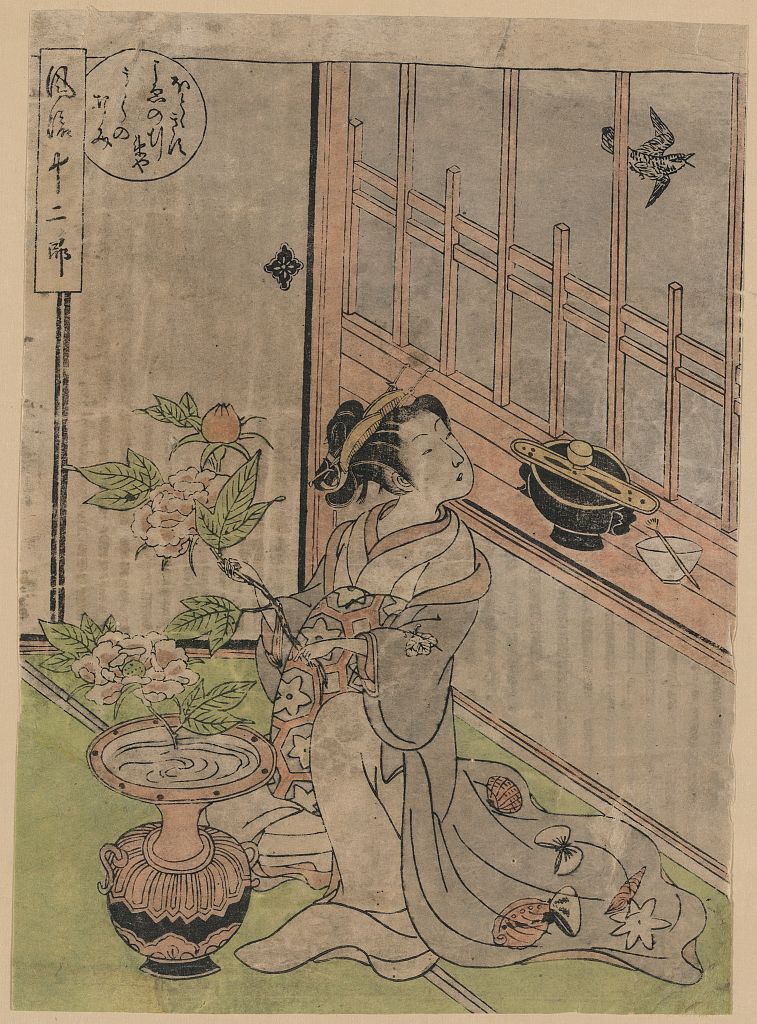 A picture of Satsuki hototogisu