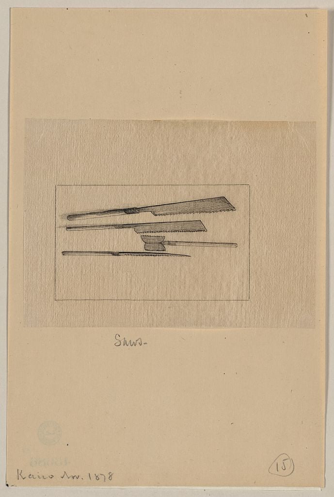 A picture of Saws