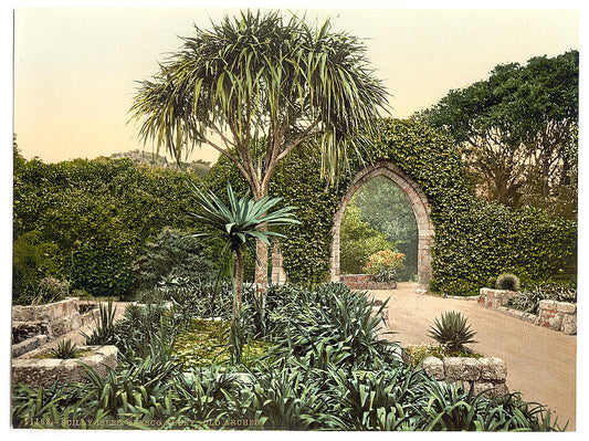 A picture of Scilly Isles, Tresco Abbey, old arches, Cornwall, England