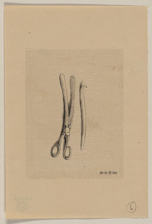 A picture of Scissor clamps and hooked probe?