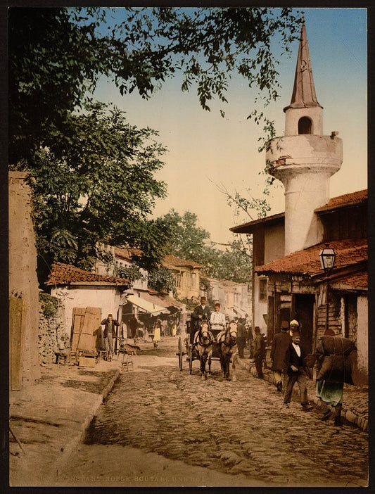 A picture of Scutari, Constantinople, Turkey