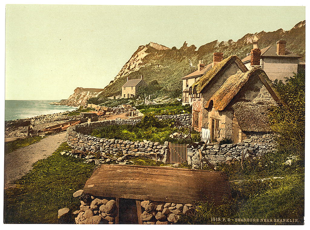 A picture of Seashore near Shanklin, Isle of Wight, England