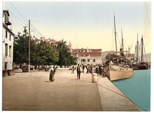 A picture of Sebenico, the alla water front, Dalmatia, Austro-Hungary