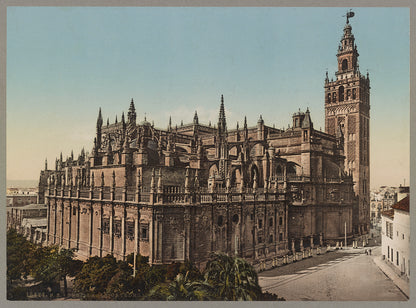 A picture of Sevilla. La Catedral